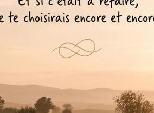 Je t'aime choisi, et si c'était à refaire je te choisirais encore et encore