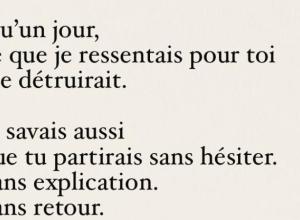 J'étais le genre de personne qui aurait traversé l'océan pour quelqu'un qui n'aurait même pas traversé la rue pour moi.