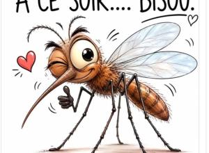 À soixante-sept ans, j’ai amené la femme qui revenait à ma table, et mon fils l’a traitée comme un danger.  Je m’appelle Bernard. J’ai 67 ans et je vis à Angers, dans un appartement où chaque pièce connaît encore la voix de ma femme.  Elle est partie il y a six ans.  Je ne vais pas raconter ici sa maladie ni les derniers mois. Ce n’est pas le sujet. Le sujet, c’est ce qui arrive après. Quand les gens pensent que vous allez “aller mieux”, alors que vous apprenez seulement à faire moins de bruit en souffrant.